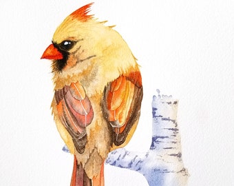 Female Cardinal Watercolor Art Print, Watercolor Bird, Watercolor Cardinal, Perfect for Nature and Bird Lovers, Gifts and Home Decor
