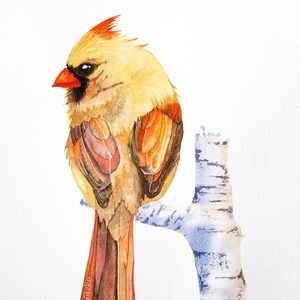 Female Cardinal Watercolor Art Print: Bird Lover Gift