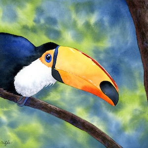 Original Watercolor Toucan Painting: Tropical Bird Art (8x10)