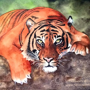 ORIGINAL watercolor tiger painting, endangered Sumatran tigress, 11x14 handpainted artwork, not a print