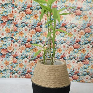 May include: A potted plant with green leaves in a two-toned basket. The basket has a natural tan upper section and a black lower section. The background features a floral pattern with various colors.