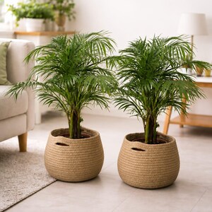 Pflanzkörbe aus Naturjute (2er-Set) | Zweiteiliges Set aus gewebten Übertöpfen | Rustikale Zimmerpflanzenkörbe | Minimalistische Boho-Aufbewahrungsdeko