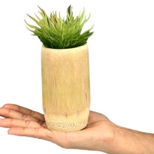 May include: A cylindrical bamboo planter holding a vibrant green plant with spiky leaves. The planter has a natural, light brown color and is held in an open hand against a white background. The plant adds a touch of nature.