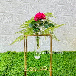 Op de afbeelding: Een gouden metalen bloemenvaas met een rechthoekig frame, met een heldere glazen buis met een roze roos en groen blad. De tekst "Vila online nursery" staat op de glazen buis. De vaas staat op groen gras.
