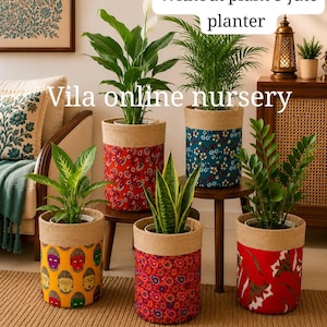 Könnte beinhalten: Fünf zylindrische Jute-Pflanzgefäße mit Stoffbezügen in verschiedenen bunten Mustern, darunter Blumen-, Paisley- und Gesichtsmotive. Jeder Topf enthält eine Grünpflanze. Der Text "Without plant 5 jute planter" und "Vila online nursery" ist sichtbar.