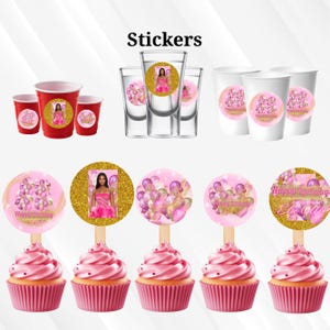15x Birthday Party Favor Template Bundle, Pink Canva Editable Graduation Treats Design, Party Favor Custom Water Labels, Chip Bag, Wrapper