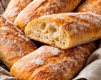 La MIGLIORE RICETTA FACILE per la Ciabatta senza impasto – Panini artigianali italiani fatti in casa – Istruzioni passo passo in PDF