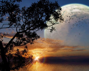 Your Moon Sign Email Reading