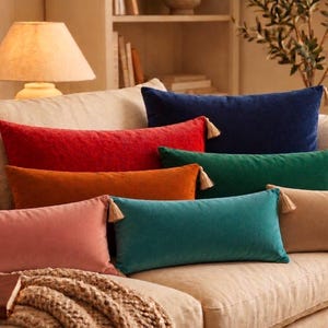 Può includere: Una collezione di cuscini rettangolari in velluto in vari colori a tinta unita, tra cui blu navy, rosso, arancione bruciato, verde smeraldo, verde acqua, rosa antico e beige. Ogni cuscino presenta piccole nappe decorative agli angoli.