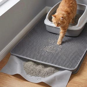 May include: An orange tabby cat exits a gray and white cat litter box, stepping onto a gray honeycomb-patterned mat. Litter granules are scattered on the mat. A second layer of the mat catches the litter. The scene is set in a corner of a room with a wooden floor.