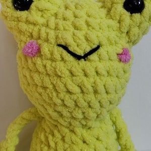 Frog Crochet Plush Toy image 2