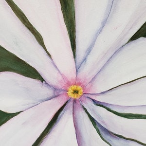 Original Watercolor Painting Star Magnolia zdjęcie 3