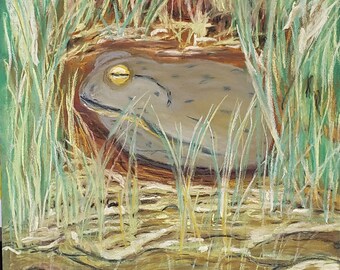 Original Pastel Painting - 'Toad in the Pond' - 9.5" x 12"