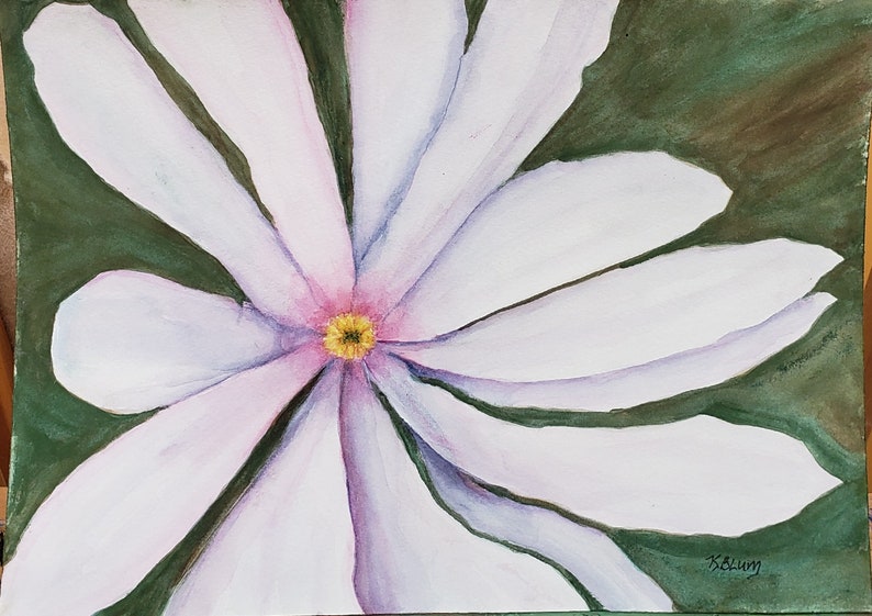 Original Watercolor Painting Star Magnolia zdjęcie 1