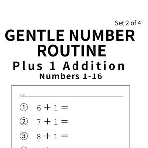Brain Training for Seniors – Gentle Number Routine Set 2 of 4 – Plus 1 Addition Worksheet (Large Print PDF)