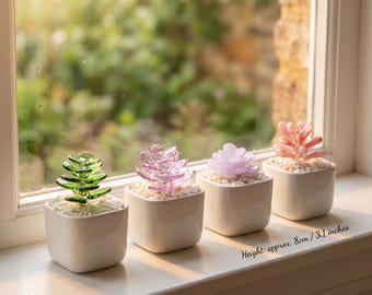 Ensemble de mini plantes en pot succulentes en verre, décoration de fleurs de cactus en verre faite main, jolie décoration de rebord de fenêtre d'étagère de bureau, cadeau pour les amateurs de plantes