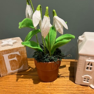 Può includere: Una pianta di bucaneve artificiale fatta a mano in un piccolo vaso di terracotta. La pianta presenta fiori di feltro bianco, steli verdi e foglie di feltro verde. Il vaso è riempito di muschio verde. Oggetti decorativi sono sullo sfondo.