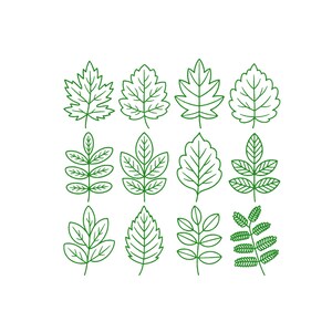 Leaf Embroidery Design, Leaf's Set Embroidery Design, Maple Leaf's Embroidery Designs, Leaf Outline Embroidery Design, Green Leaves, 6 Sizes