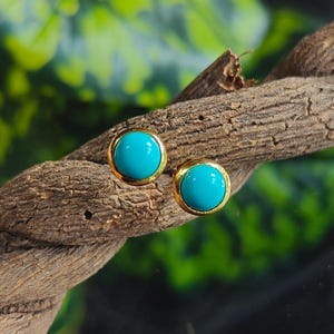 Puede incluir: Un par de pendientes de botón redondos turquesa con engastes dorados. Los pendientes se exhiben sobre una rama de madera marrón texturizada, sobre un fondo verde borroso.