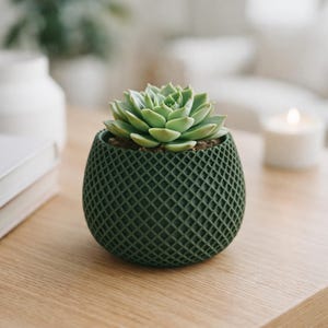 May include: A dark green, lattice-patterned pot containing a green succulent plant. The pot is on a light-coloured wooden surface. The succulent has tightly packed, light green leaves. A candle and a white vase are in the background.