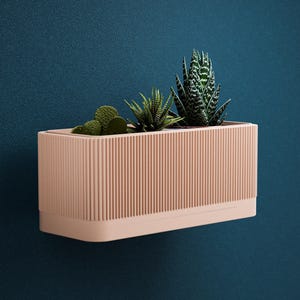 May include: A rectangular, peach-colored planter with vertical ribbed detailing, holding several small succulents. The planter is mounted on a dark teal wall, creating a contrast of colors. The plants include a variety of green cacti and aloe.
