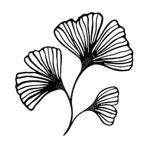 May include: Black and white illustration of a ginkgo branch with three fan-shaped leaves. The leaves have detailed veining, and the stem is curved. The design is simple and elegant, suitable for various applications.