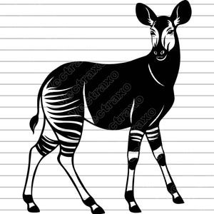Okapi Vector Illustration, Safari Animal Clipart (SVG, PNG, JPG)