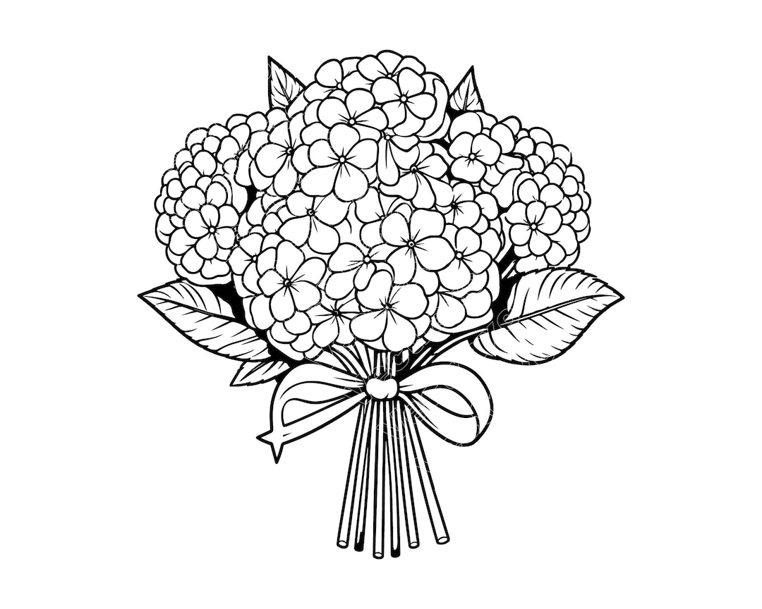 Hydrangea Bouquet SVG PNG JPG: Botanical Flower Line Art, Minimalist ...