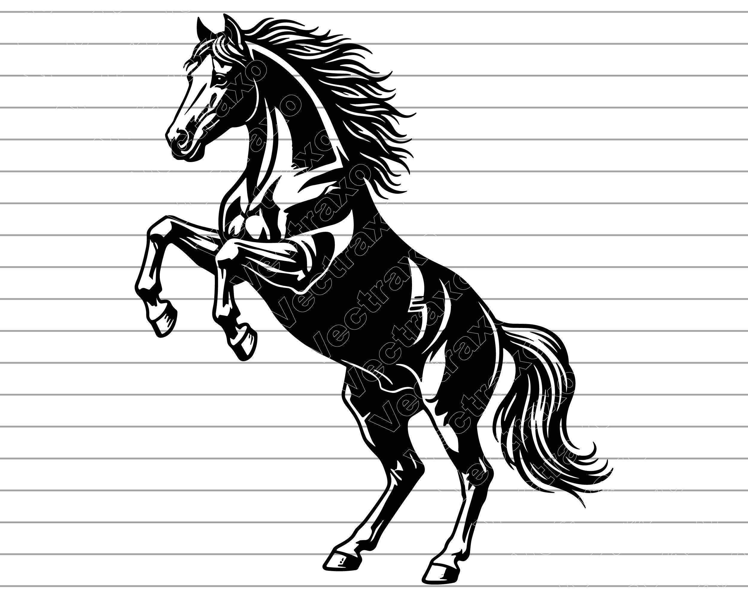 Mule Rearing Svg Rearing Horse Vector Illustration, Horse SVG PNG JPG, Equestrian Art ...