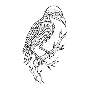 May include: A black and white line art illustration of a bird skeleton perched on a gnarled, leafless tree branch. The skeletal bird is depicted in profile, showing detailed bone structures of the skull, ribcage, wings, and talons in high contrast.