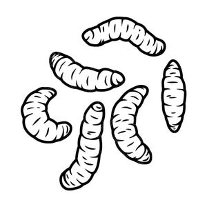 May include: A black and white graphic illustration featuring five segmented, worm-like larvae arranged in a scattered pattern. Each larva is depicted with bold outlines and simple horizontal lines to indicate body segments and a curved shape.
