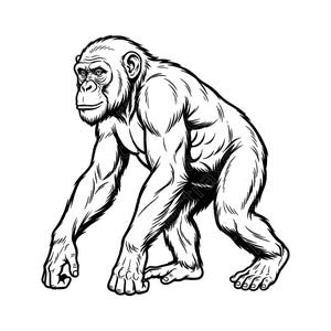 SVG di scimpanzé, clipart di scimpanzé che cammina, disegno al tratto di scimpanzé, grafica vettoriale di scimpanzé, file di taglio di animali selvatici per Cricut, download immediato