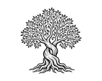 Olivier SVG, PNG plante méditerranéenne, fichier coupé tronc torsadé, emblème du patrimoine familial, graphique d'art botanique ligne, téléchargement immédiat
