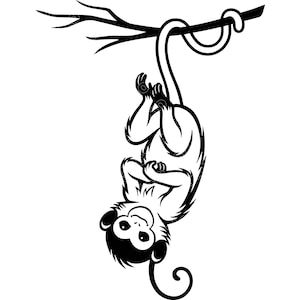 May include: A black and white graphic illustration of a monkey hanging upside down by its tail from a tree branch. The monkey has a rounded head, large eyes, and small ears, with its arms folded against its chest in a simple line art style.