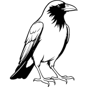 May include: A black and white graphic illustration of a crow standing in profile. The bird features bold black outlines and solid black areas on its head, wings, and tail, contrasted against a white body. The crow is depicted with a sharp beak.