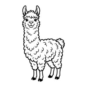 May include: A black and white illustration of a llama standing upright. The llama has a fluffy, textured coat, a long neck, and small ears. The llama is smiling, and the image is set against a white background.