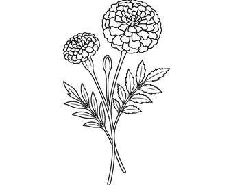 Marigold Flower SVG PNG JPG: Hand Drawn Floral Line Art Botanical Stencil Bloom Garden Minimalist Bouquet Design Instant Download