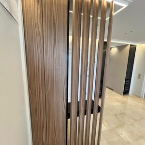 May include: A modern interior design featuring a built-in wooden cabinet with vertical grain and a series of vertical wooden slats. The cabinet and slats are a warm brown color, creating a natural and inviting aesthetic. The design is complemented by a white ceiling.