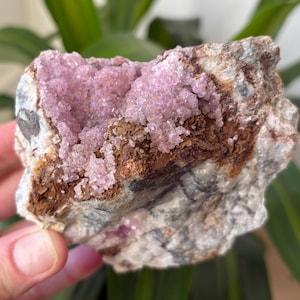 May include: A rough-hewn rock formation featuring a cavity filled with sparkling, light pink crystals. The rock's exterior displays a mix of gray, brown, and white tones, with visible textures. The background includes green plant foliage.