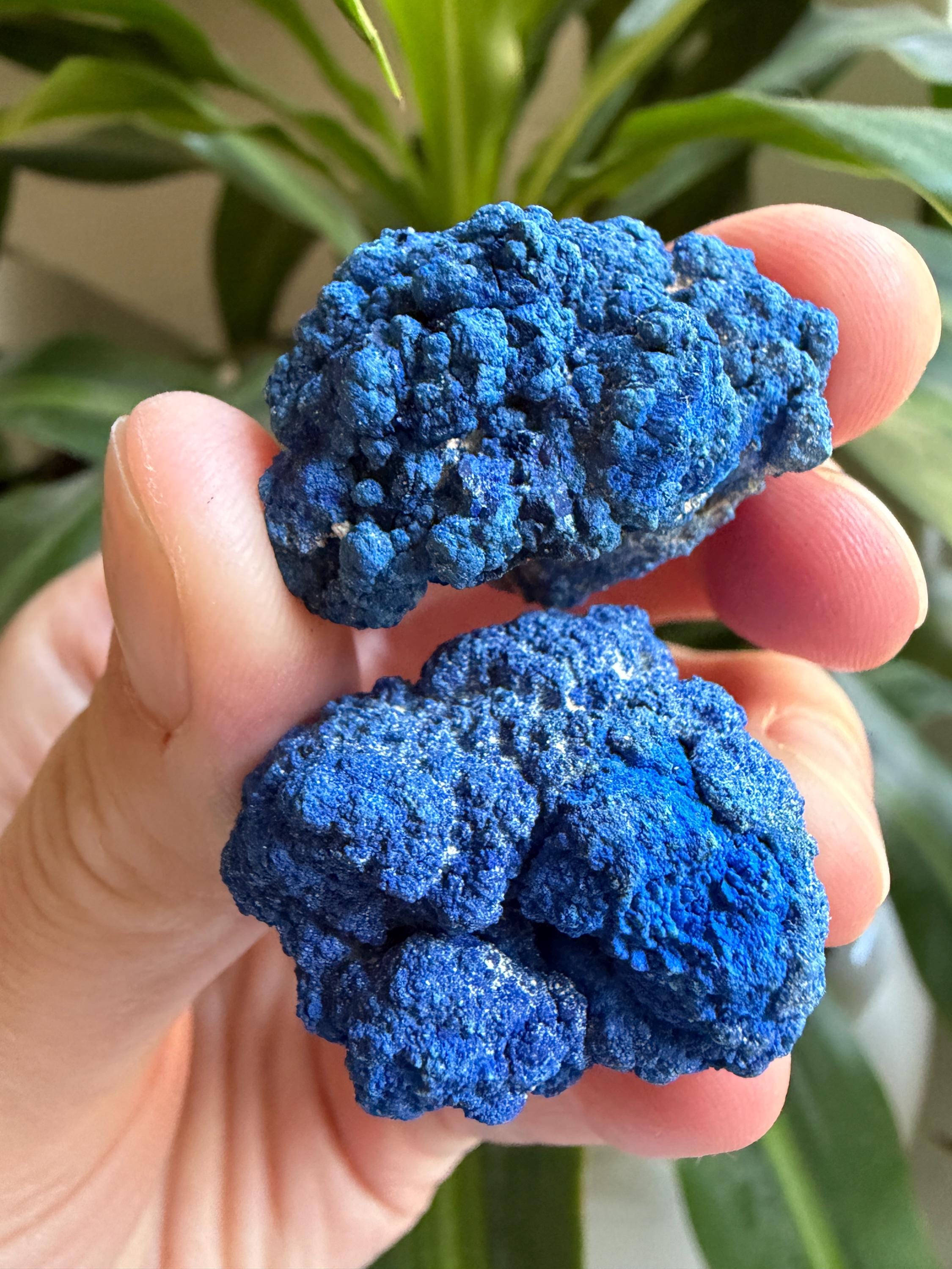 Azurite Nodule - Etsy