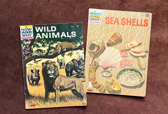 60s 70s HOW AND WHY Books Wild Animals and Sea Shells - Etsy