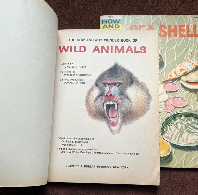 60s 70s HOW AND WHY Books - Wild Animals and Sea Shells - Etsy