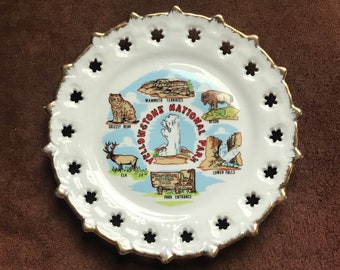 Vintage Yellowstone National Park Decorative plate