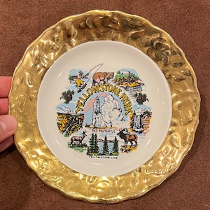Vintage Yellowstone park decorative plate