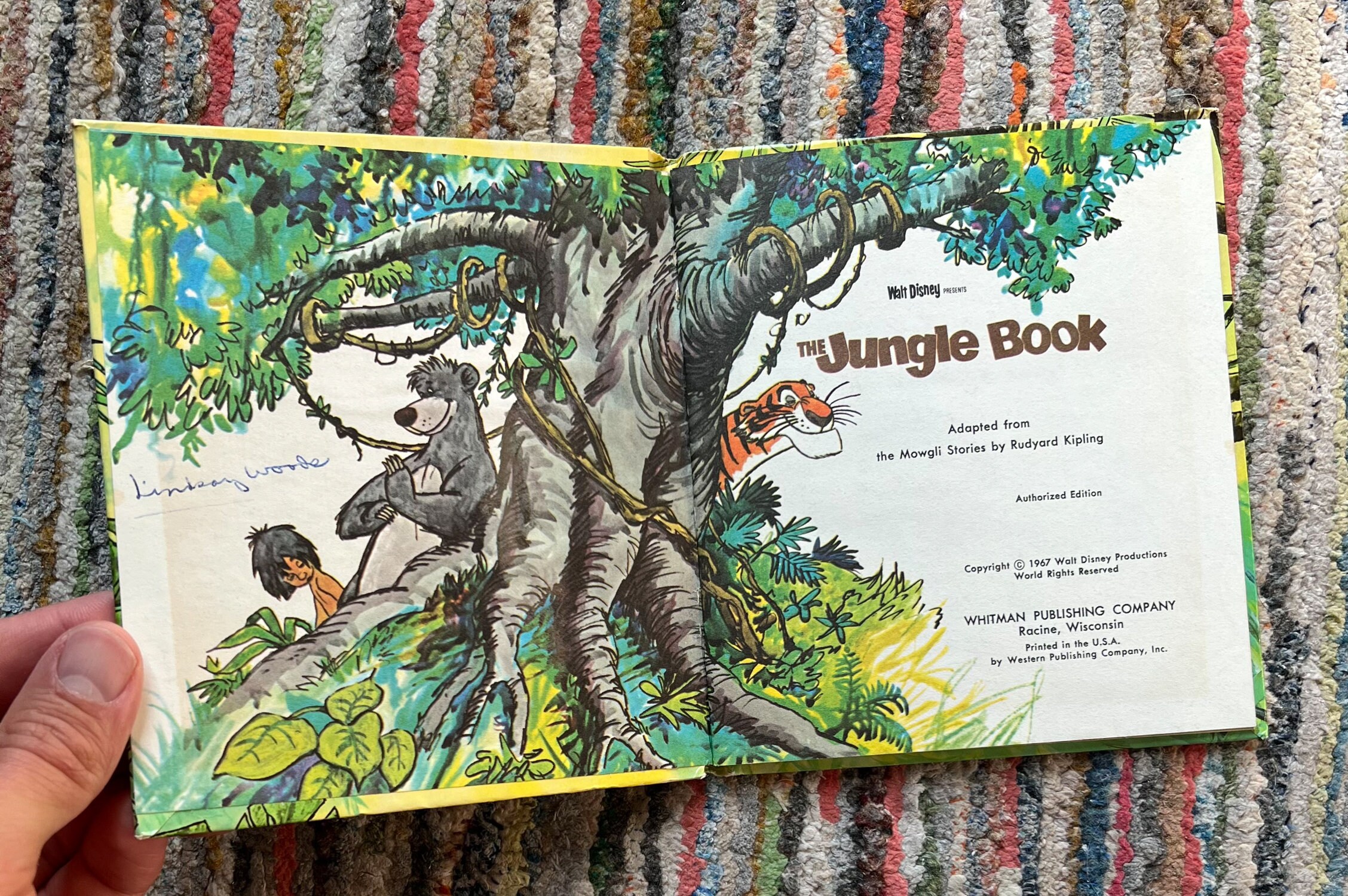Jungle Book 70s - Etsy