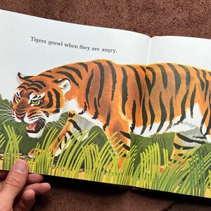 THE TIGER BOOK Vintage Children’s Book - Etsy