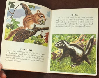 Vintage 1950s book Wild Animal Babies