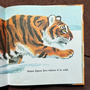 THE TIGER BOOK Vintage Children’s Book - Etsy