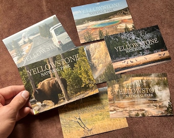 YELLOWSTONE NATIONAL PARK - collection of postcards