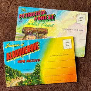 vintage, souvenirs de voyage du Sud-Ouest - cartes postales à déplier - forêt pétrifiée - Albuquerque